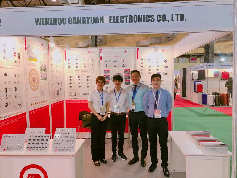 Rapport d'exposition électronique Inde Electronics